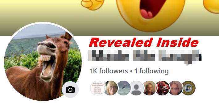 Stunning Shorts Review – Viral Videos Made Easy